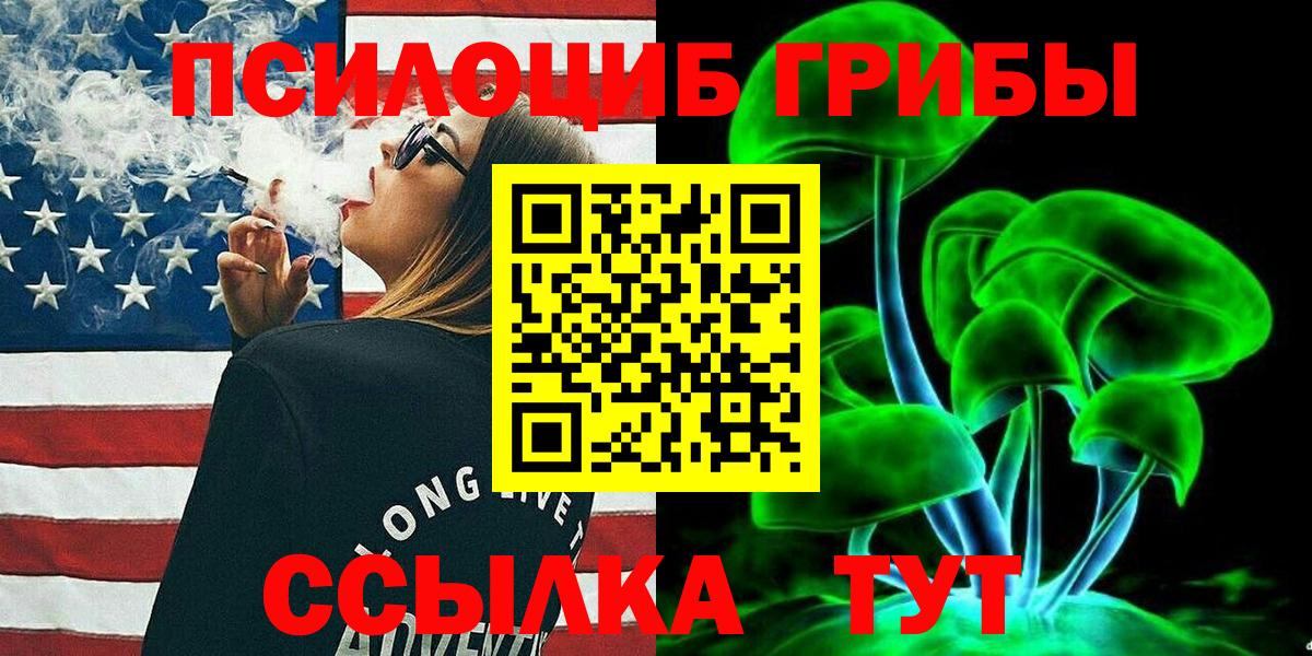 Галлюциногенные грибы Psilocybe Ревда