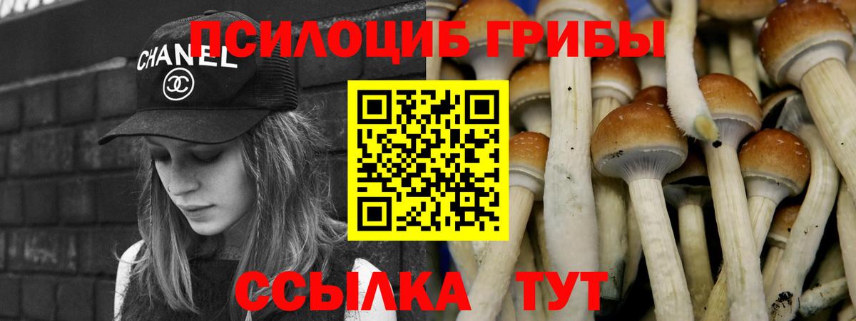 Псилоцибиновые грибы MAGIC MUSHROOMS  Псилоцибиновые грибы Cubensis  где найти   Ревда  Вход с VPN 