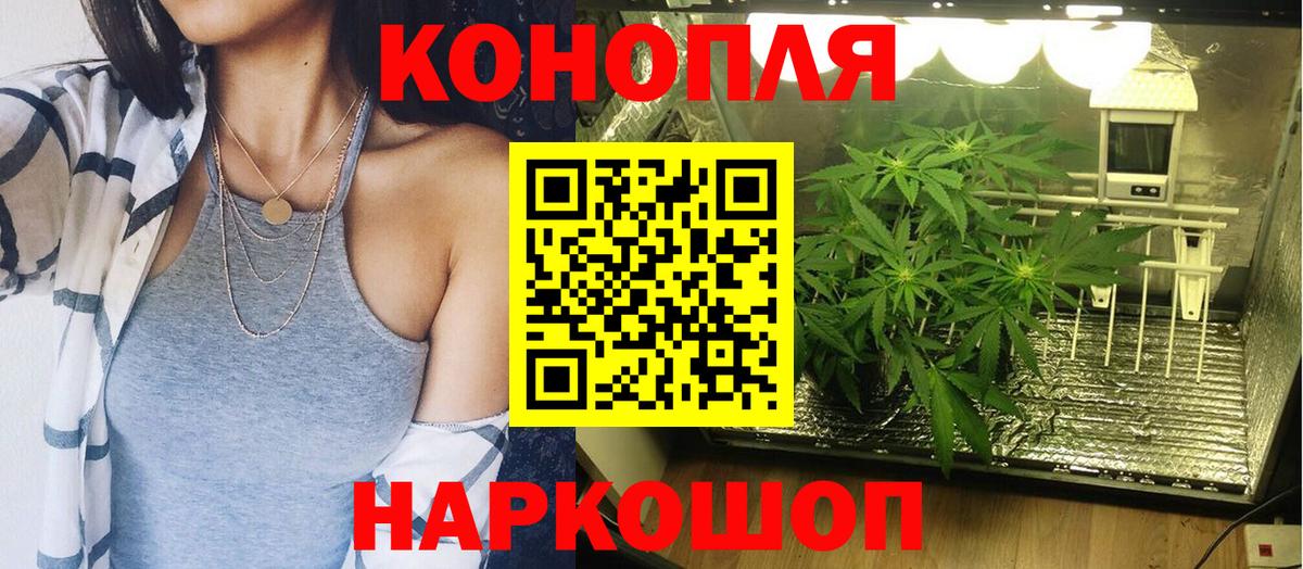 Бошки марихуана сатива  Вход с VPN  Бошки марихуана White Widow  Бошки Шишки AK-47  Ревда 